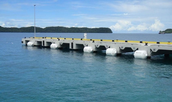 OEM مجاز Marine Boat Balloon Fender Fenders Rubber Fenders Super Supplier