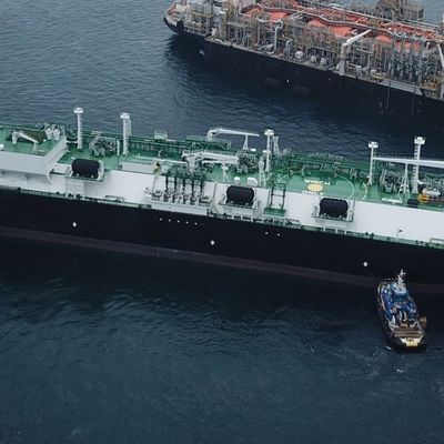 ABS Q235 Flange 80Kpa سپر لاستیکی دریایی برای حامل های گاز متصل کننده سپر