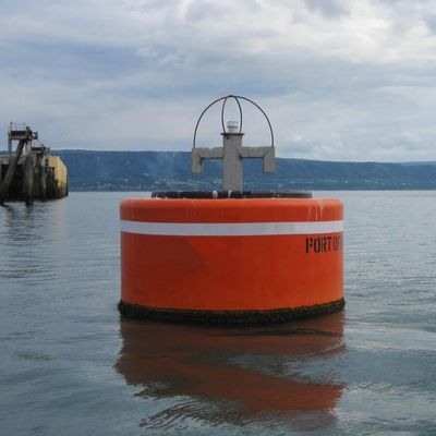 BV Chain Through Buoy برای شناور مهار پلی اورتان تقویت کننده کشتی کشتی